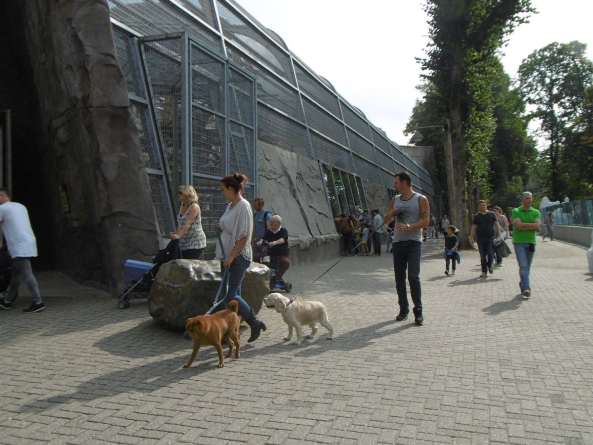 Ouwehands Dierenpark in Rhenen